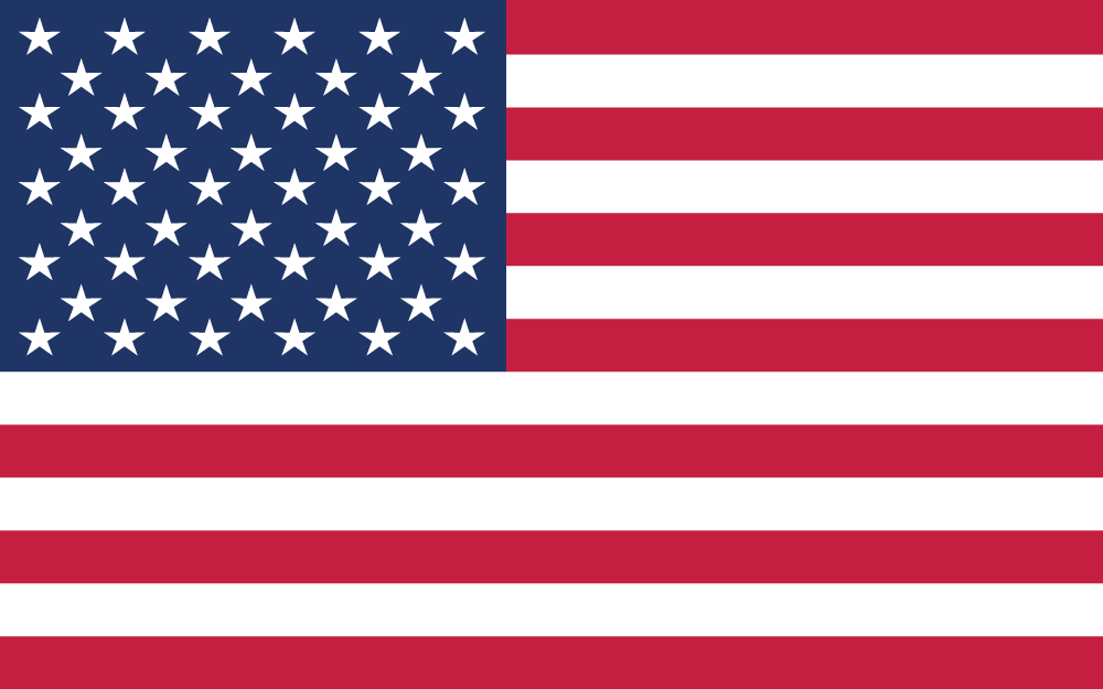 USA Version